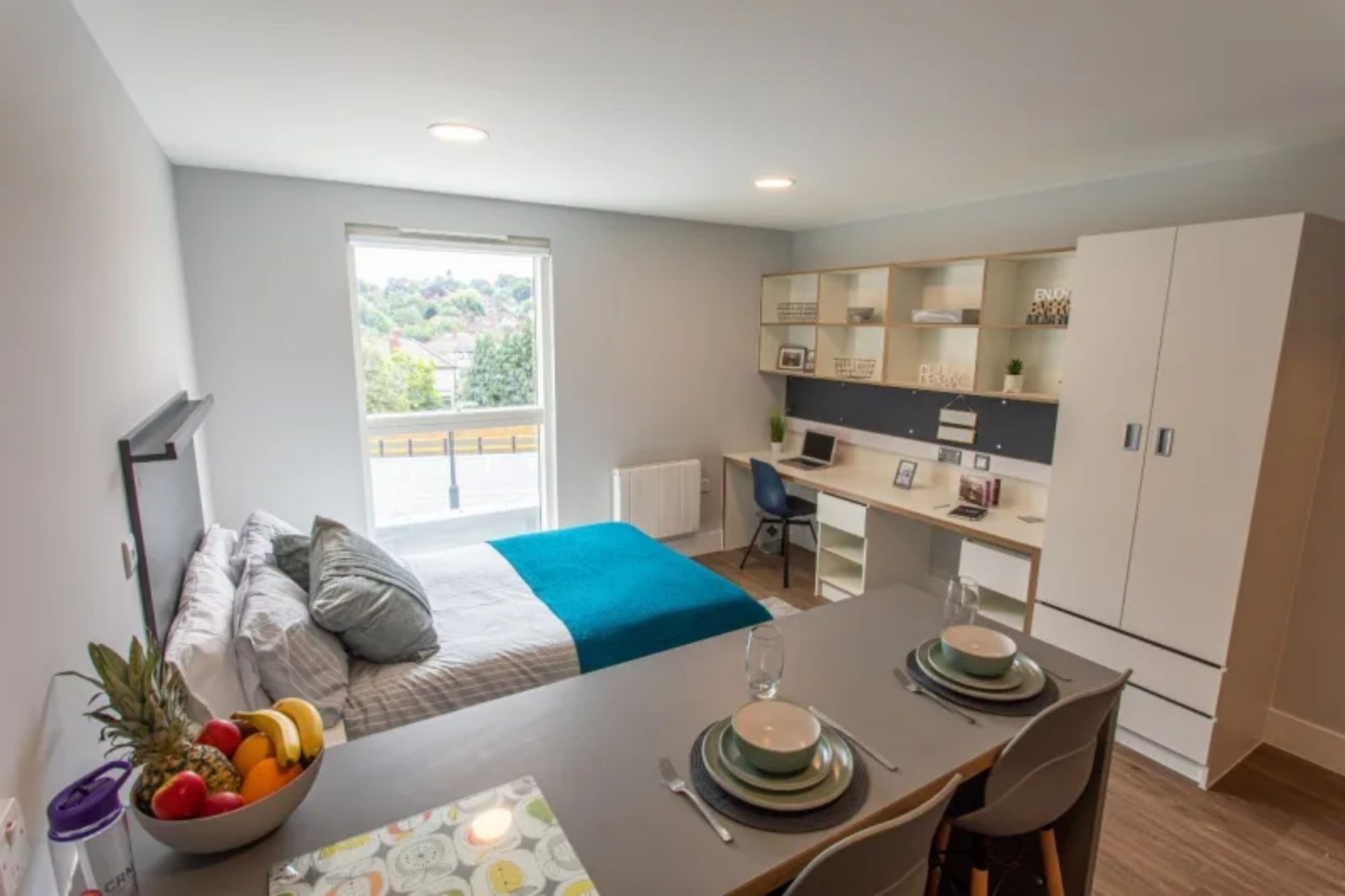 imgi_100_aca2babe-a78c-419d-b575-4359568d0f78